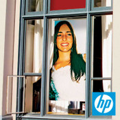 HP单视图穿孔胶粘剂窗口乙烯基6.5毫米