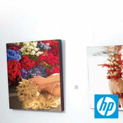 HP Premium Instant-Dry Gloss Photo 华体会官网手机版hthPaper 260 gsm